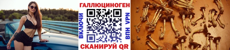 Галлюциногенные грибы MAGIC MUSHROOMS Сурск